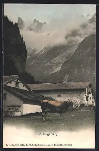 AK Engelberg, Partie mit Hotel / Pension & Kuh