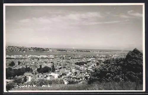 AK Dunedin, Gesamtansicht mit Panorama