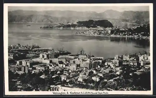 AK Wellington, Panorama and Harbour