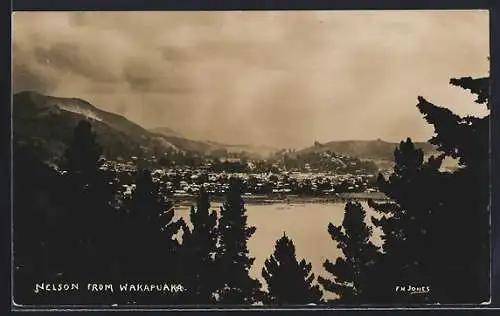 AK Nelson, View from Wakapuaka