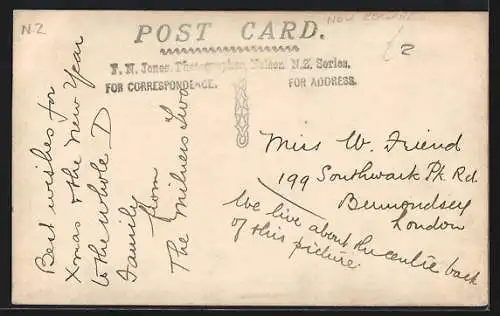 AK Nelson, View from Wakapuaka