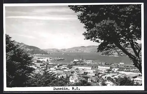 AK Dunedin, Bird`s Eye View
