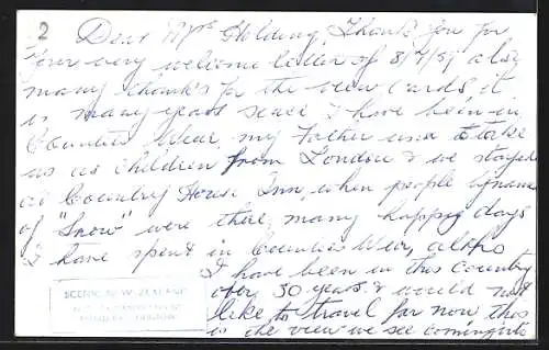 AK Dunedin, Bird`s Eye View