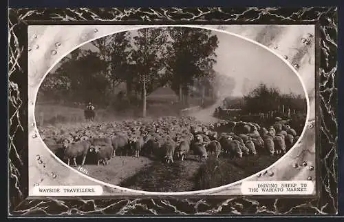 AK Waikato, Wayside Travellers, Driving Sheep to the Market