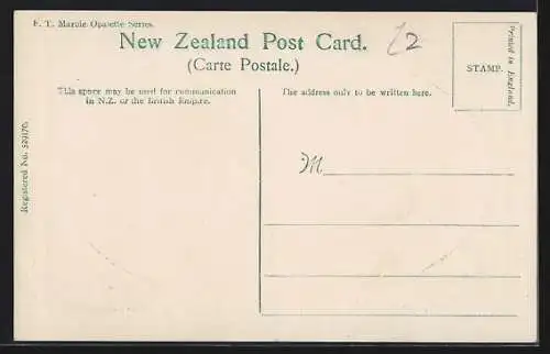 AK Waikato, Wayside Travellers, Driving Sheep to the Market