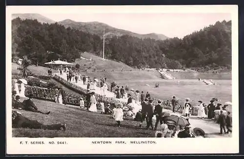 AK Wellington, Scene in Newtown Park