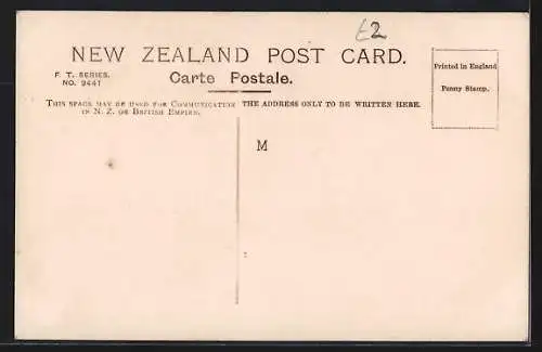 AK Wellington, Scene in Newtown Park