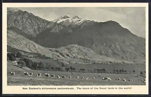 AK New Zealand, Picturesque Pasturelands and Mountain Range