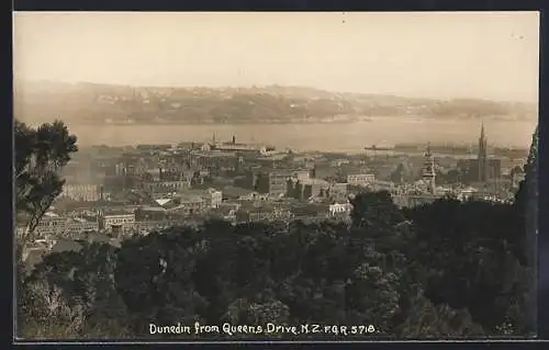 AK Dunedin, From Queens Drive