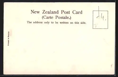 AK Auckland, General View from Pitt Stret