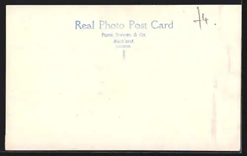 AK Dunedin, View from Queens Drive