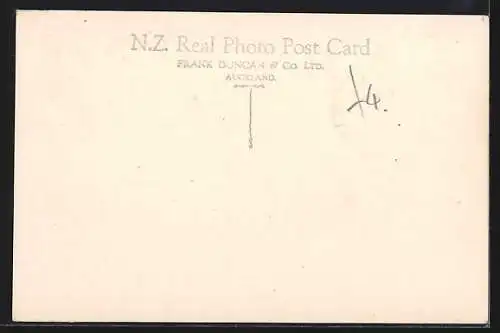 AK Picton, Aerial View of the Bay