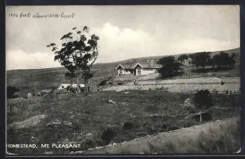 AK Mt. Pleasant, Homestead