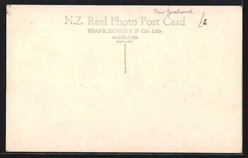 AK Coast Road Thames /Brokenshires, View of the Sea