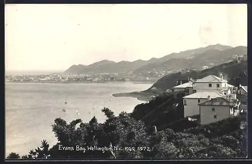 AK Wellington, Evans Bay