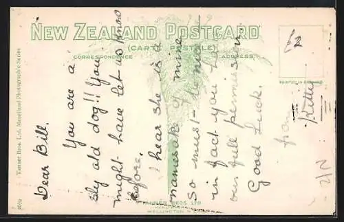 AK Invercargill, In the Gardens, Showing Winter Gardens