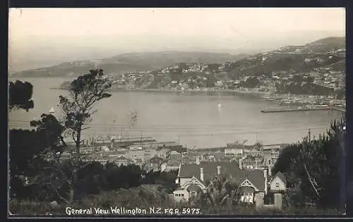AK Wellington, General View