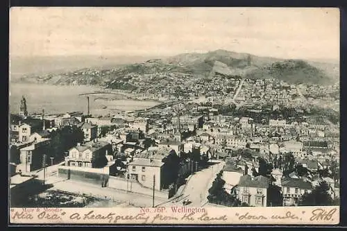 AK Wellington, Bird`s Eye View
