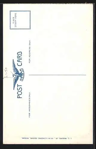 AK Mann musste sich auf Baum retten, um nicht von Krokodilen gefressen zu werden