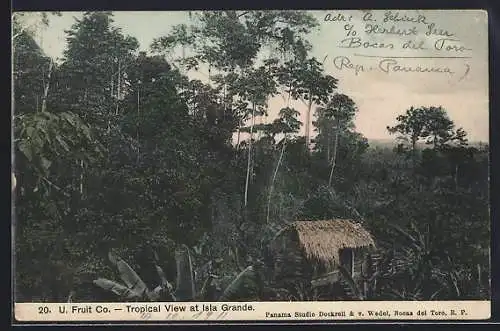 AK Isla Grande, Tropical View