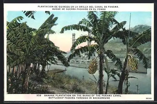 AK Panama, Banana Platation on the Banks of the Canal, Battleship passing through