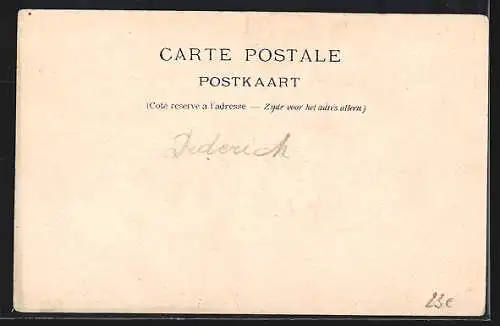 AK Diest, Vue sur le Demer