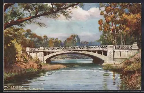 Künstler-AK Montevideo, Puente Del Electrico Arroyo Del Prado