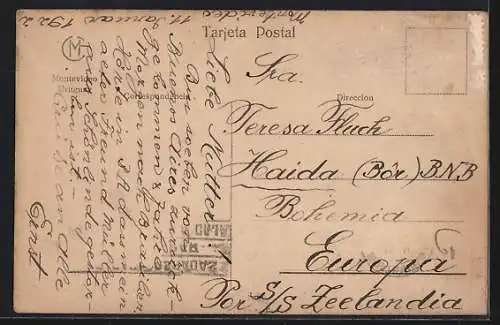 AK Montevideo, Vista parcial de Montevideo