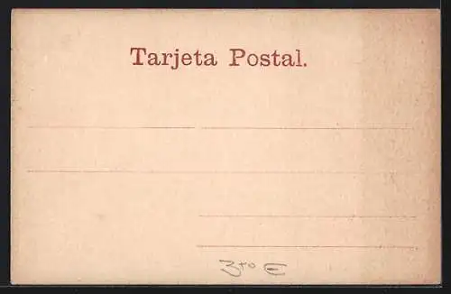 AK Montevideo, Manicomio