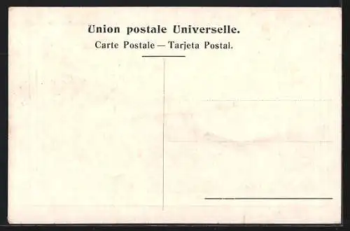 AK Montevideo, Manicomo