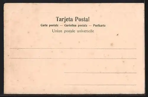 AK Montevideo, Aduana, Panorama