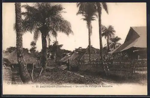 AK Ziguinchor /Casamance, Un coin du village de Boucotte