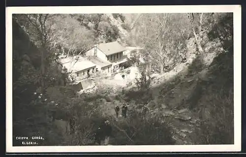 AK Chiffa, Gorge