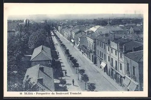 AK Blida, Perspective du Boulevard Trumelet
