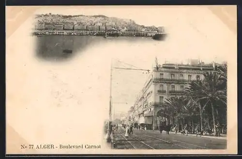 AK Alger, Boulevard Carnot