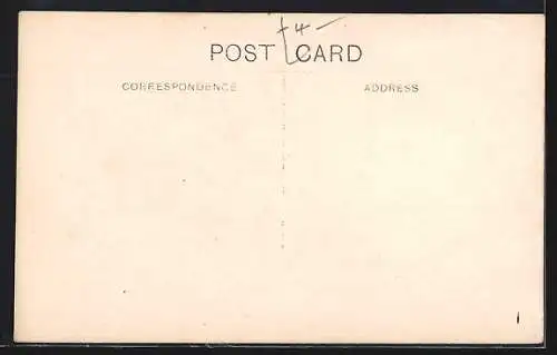 AK Singapore, Traveller Tree