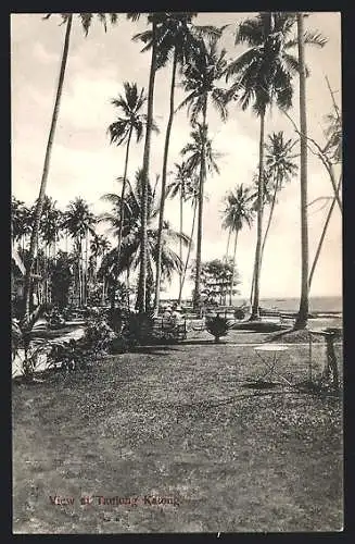 AK Tanjong Katong, Ortspartie mit Palmen