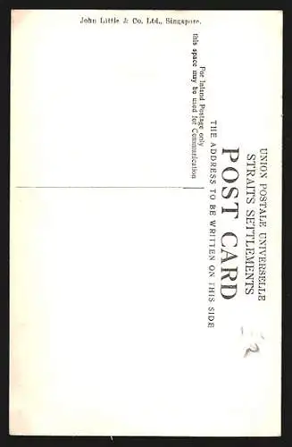 AK Tanjong Katong, Ortspartie mit Palmen