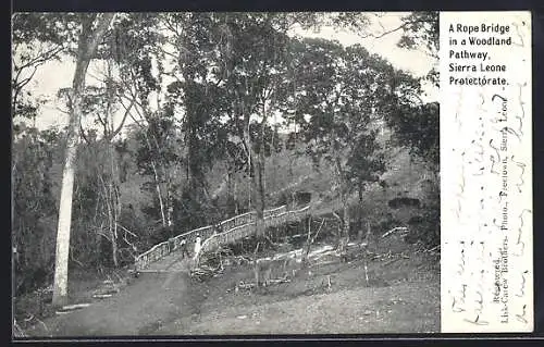AK Sierra Leone, A Rope Bridge in a Woodland Pathway