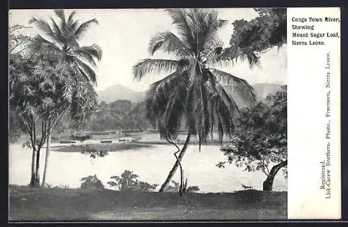 AK Sierra Leone, Congo Town River showing Mount Sugar Loaf