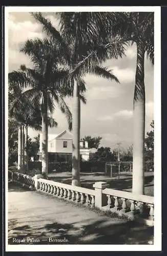 AK Bermuda, Royal Palms Hotel