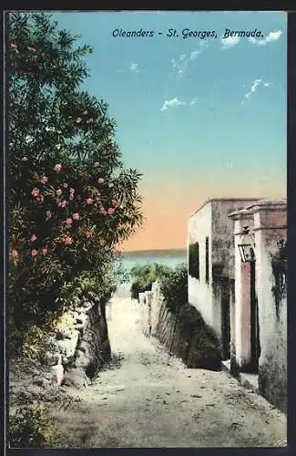 AK St. George`s, Oleanders