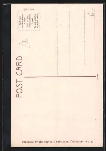 AK Bermuda, A Novel Flower Garden