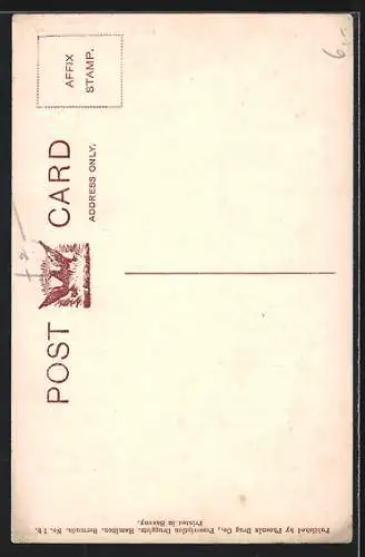 AK Bermuda, Tin Can Alley