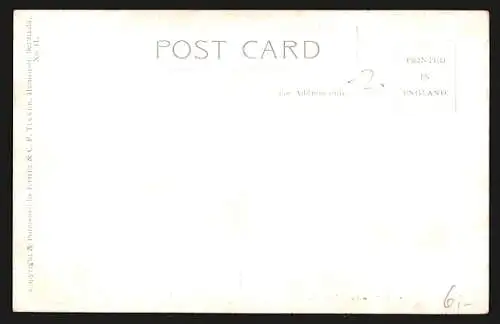 AK Paget, The Old Tucker House