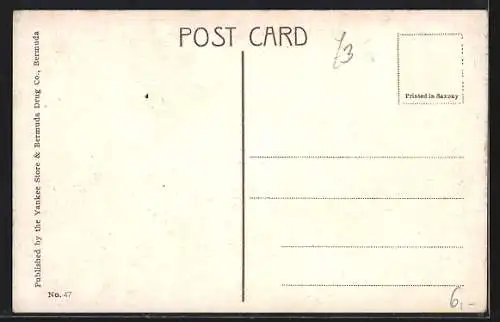 AK Bermuda, The Lane