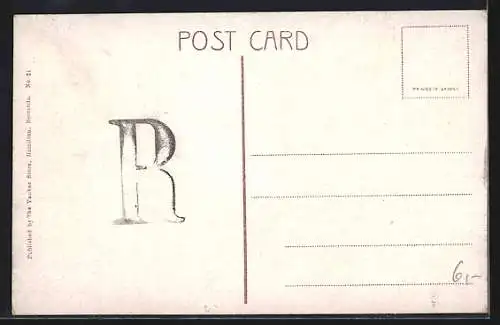 AK Bermuda, Palmettos