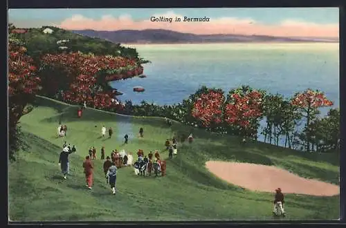 AK Bermuda, Golfing in Bermuda