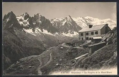 AK Chamonix, La Flégère et le Mont Blanc
