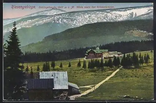 AK Schlingelbaude, Blick nach der Schneekoppe